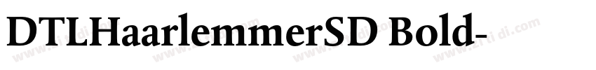 DTLHaarlemmerSD Bold字体转换